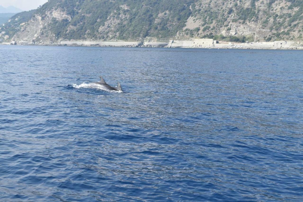 Tavernetta 109 Terrazza Tra Le 5 Terre E Portofino Deiva Marina Exteriér fotografie