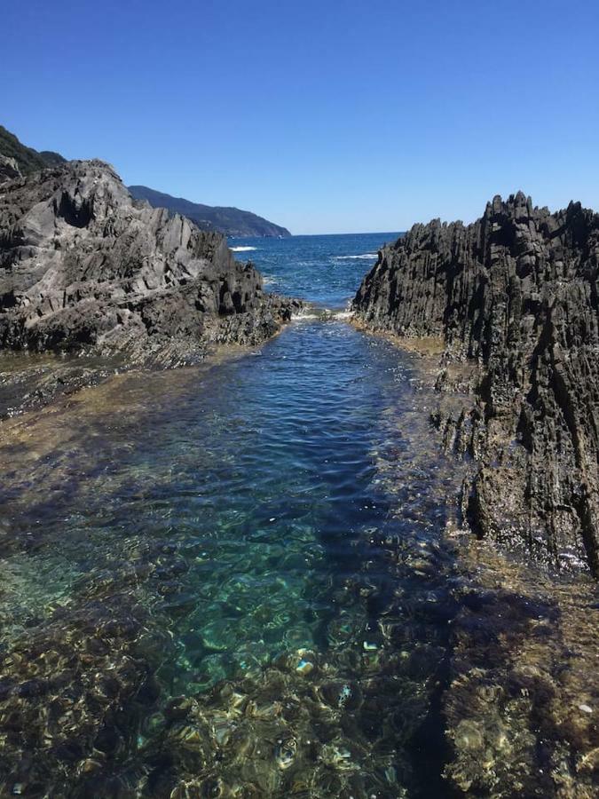 Tavernetta 109 Terrazza Tra Le 5 Terre E Portofino Deiva Marina Exteriér fotografie