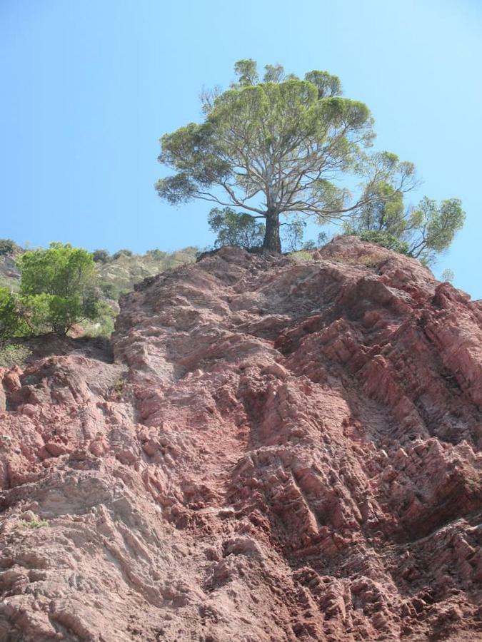 Tavernetta 109 Terrazza Tra Le 5 Terre E Portofino Deiva Marina Exteriér fotografie