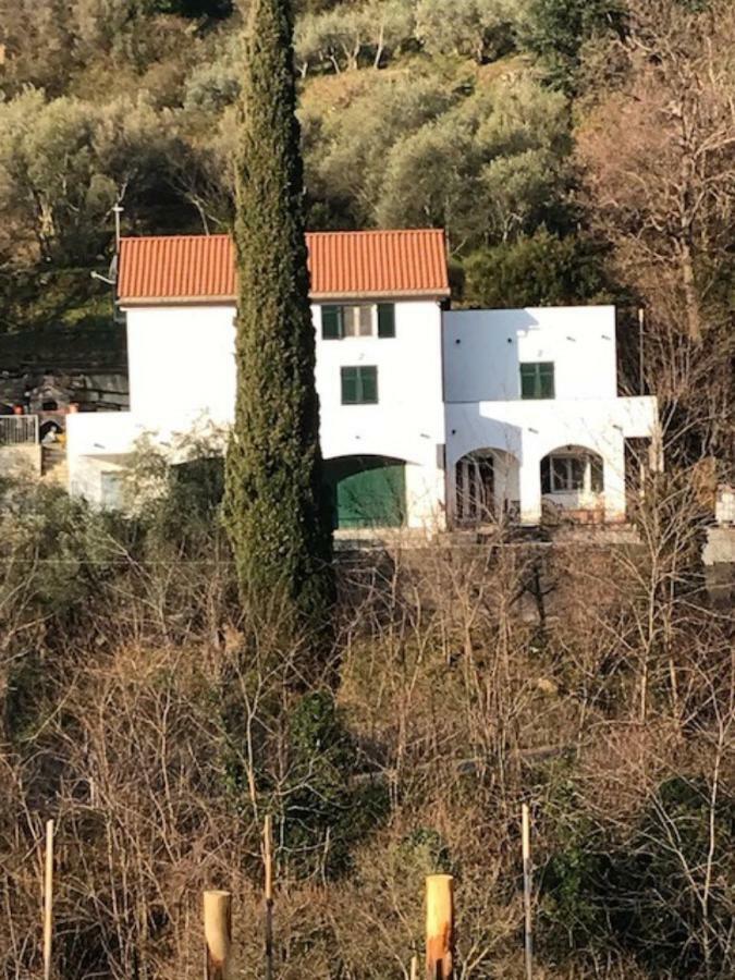 Tavernetta 109 Terrazza Tra Le 5 Terre E Portofino Deiva Marina Exteriér fotografie